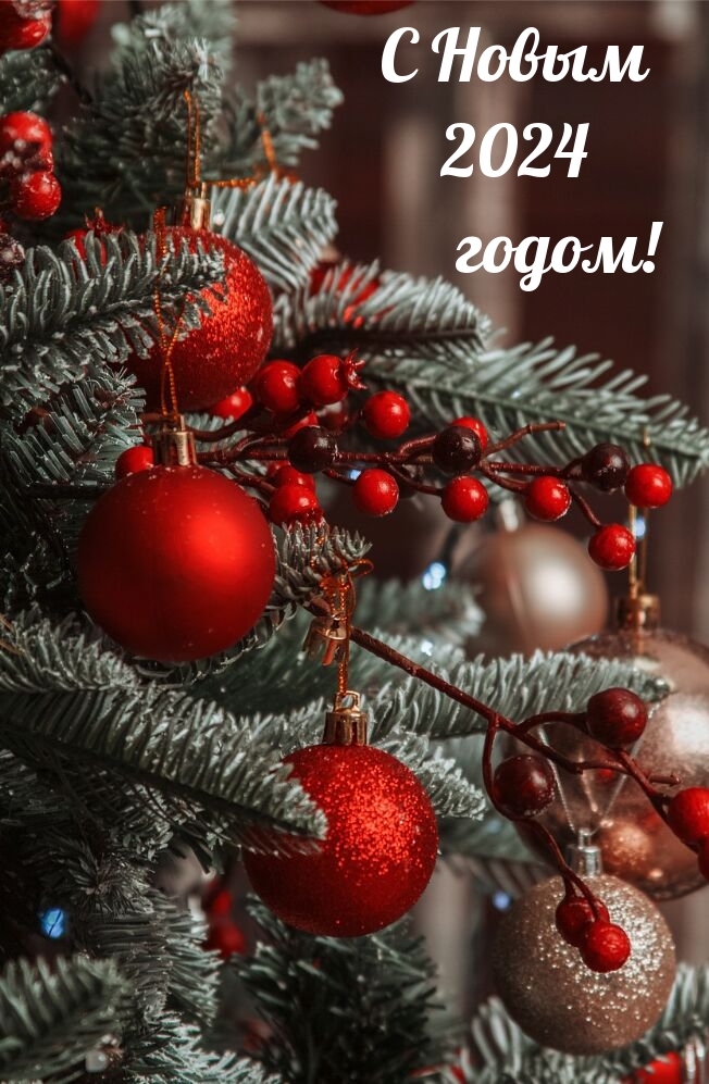 С Новым 2024 годом!