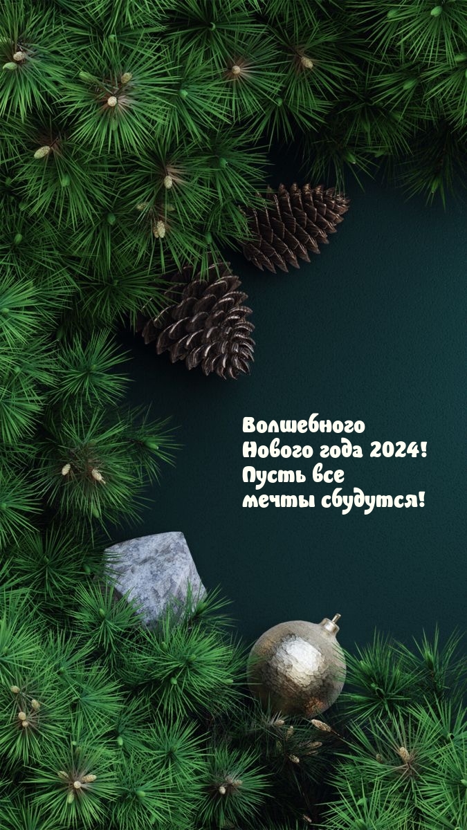 Волшебного Нового года 2024! Пусть все мечты сбудутся!