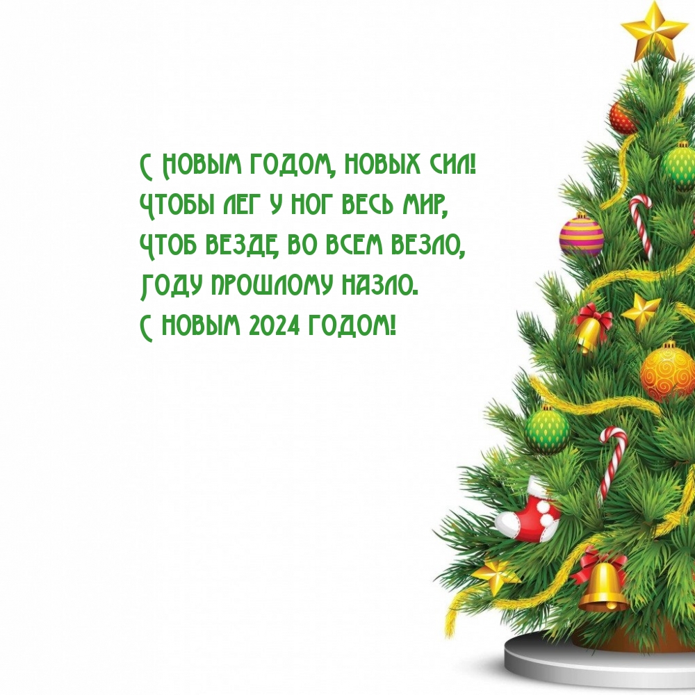 С Новым 2024 годом, новых сил! Чтобы лег у ног весь мир