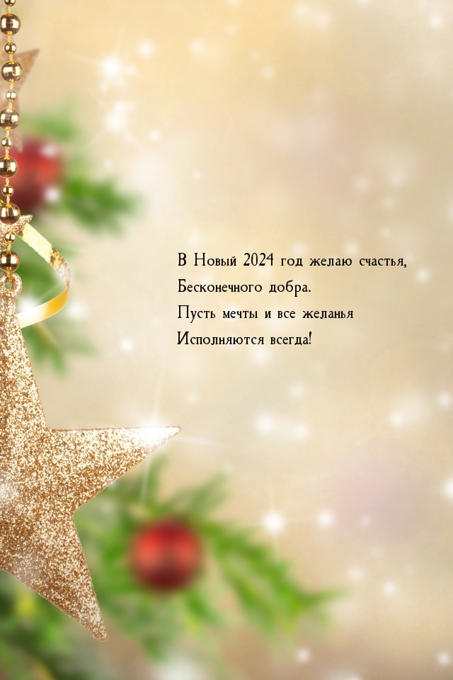 В Новый 2024 год желаю счастья, бесконечного добра.