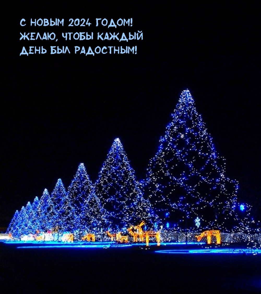 С Новым 2024 Годом! Желаю, чтобы каждый день был радостным!