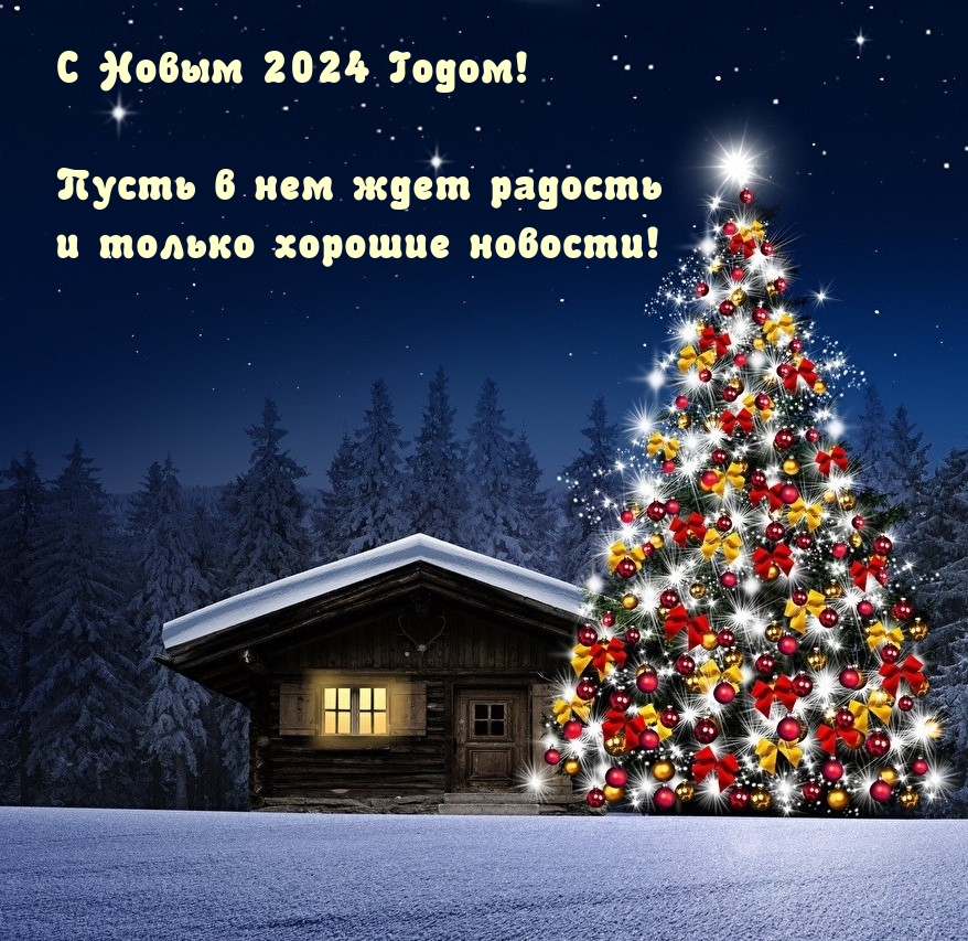 С Новым 2024 Годом! Пусть в нем ждет радость