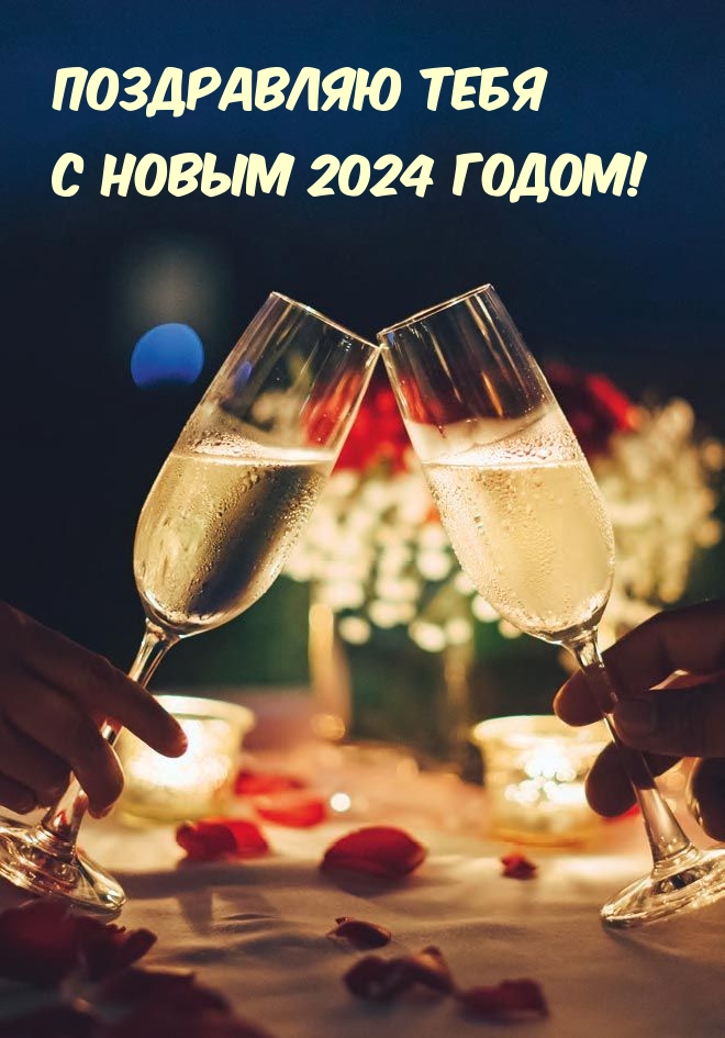 Поздравляю тебя с новым 2024 годом!