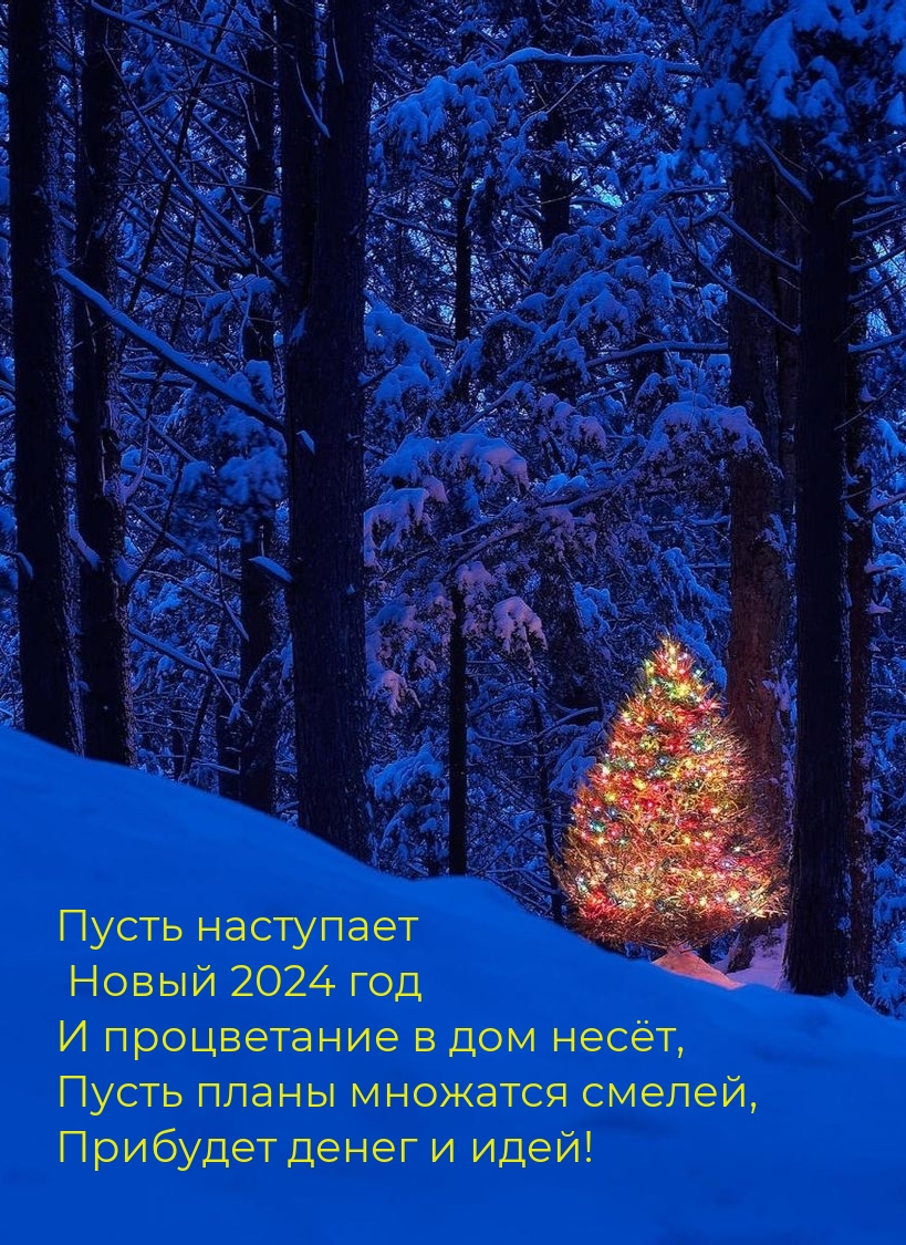 Пусть наступает Новый 2024 год и процветание в дом несёт