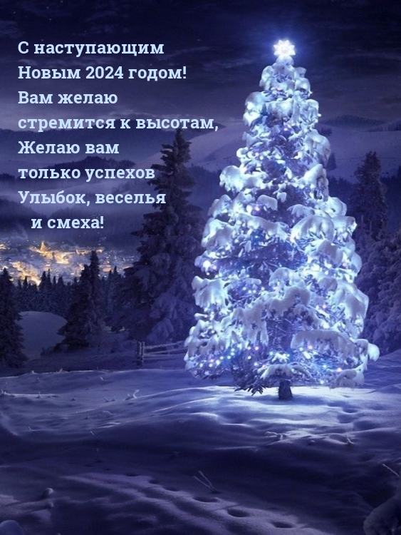 С наступающим Новым 2024 годом! Вам желаю стремится к высотам