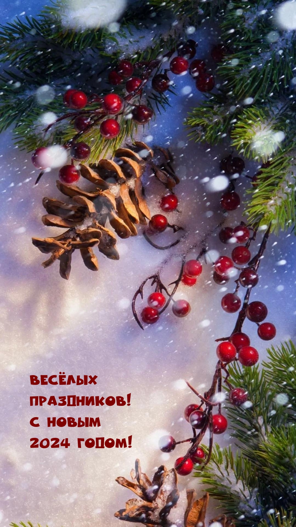 Весёлых праздников! С Новым 2024 годом!
