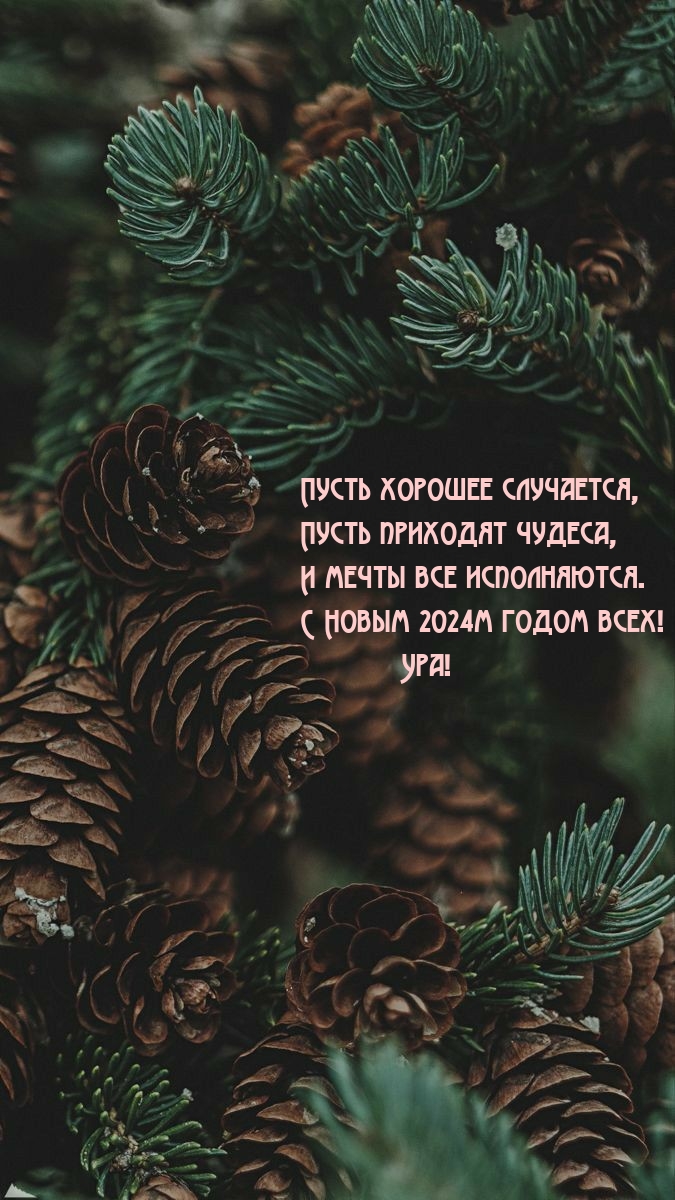 С Новым 2024м годом всех! Ура! Пусть хорошее случается