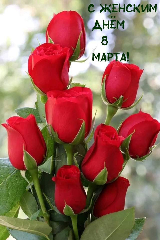 C женским днём 8 Марта!
