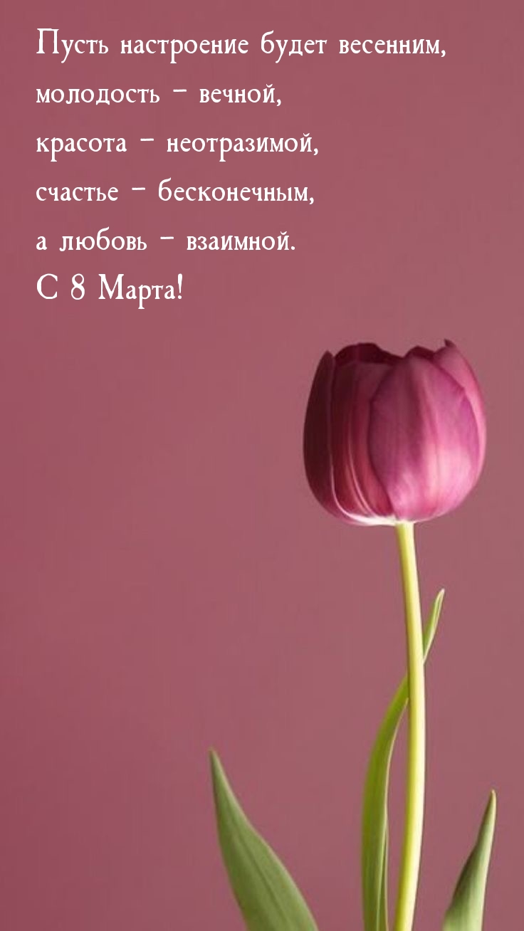 С 8 Марта! Пусть настроение будет весенним, молодость − вечной