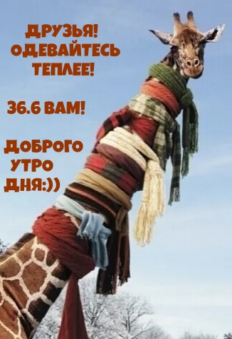ДРУЗЬЯ! ОДЕВАЙТЕСЬ ТЕПЛЕЕ!