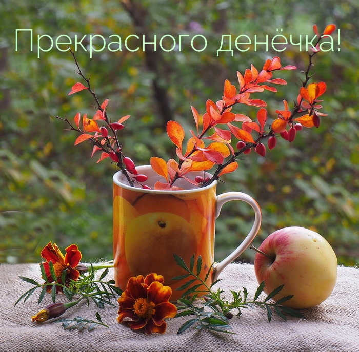 Прекрасного денёчка!