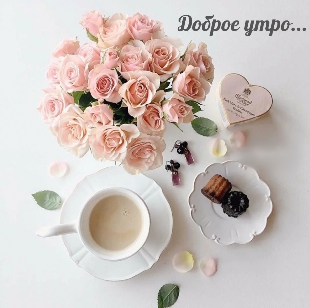 Доброе утро…