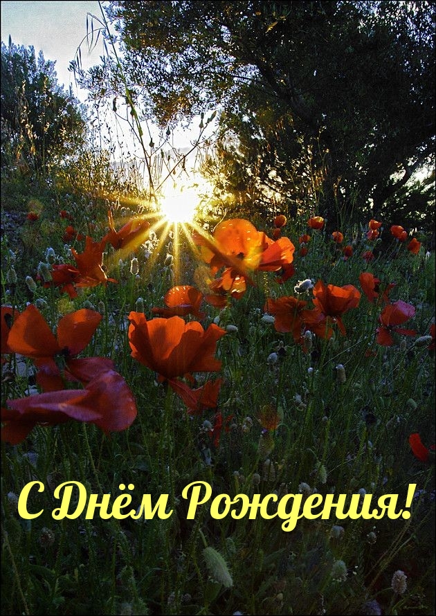 С Днём Рождения!