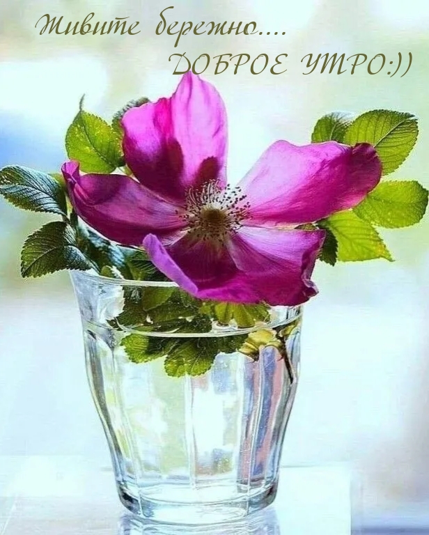 Живите бережно…. ДОБРОЕ УТРО:))