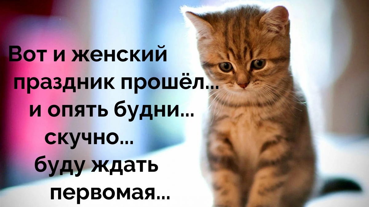 Вот и женский праздник прошёл…