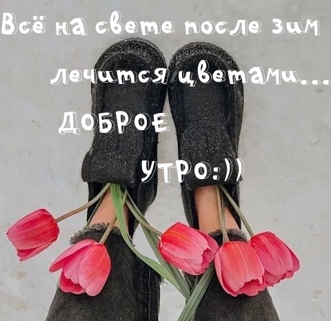 Всё на свете после зим лечится цветами…