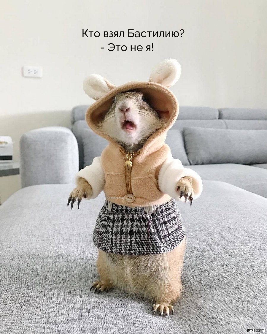 Кто взял Бастилию? — Это не я!
