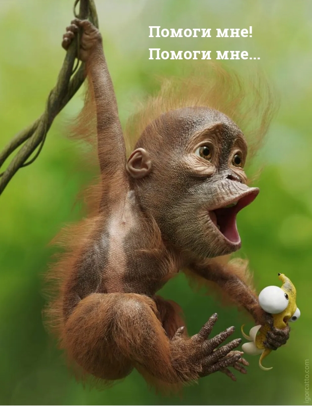 Помоги мне! Помоги мне…