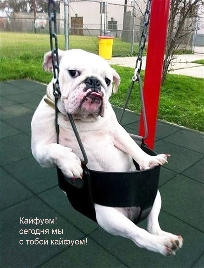 Кайфуем! сегодня мы с тобой кайфуем!