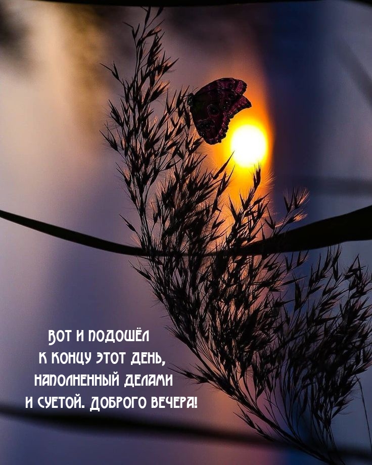 Вот и подошёл к концу этот день, наполненный делами и суетой.