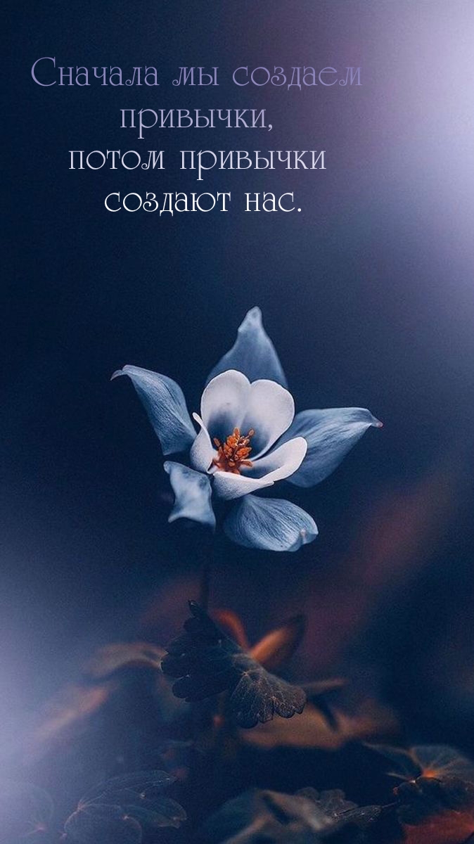 Сначала мы создаем привычки, потом привычки создают нас.