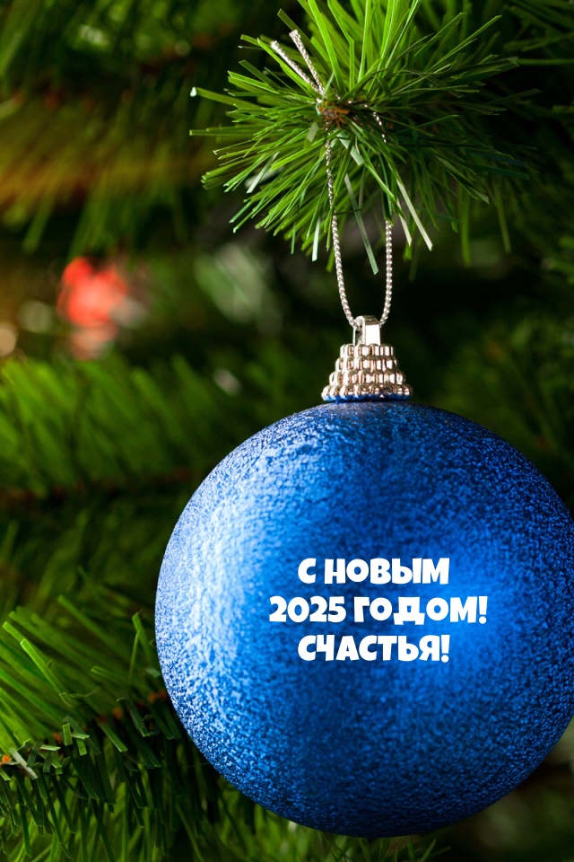 С новым 2025 годом! Счастья!