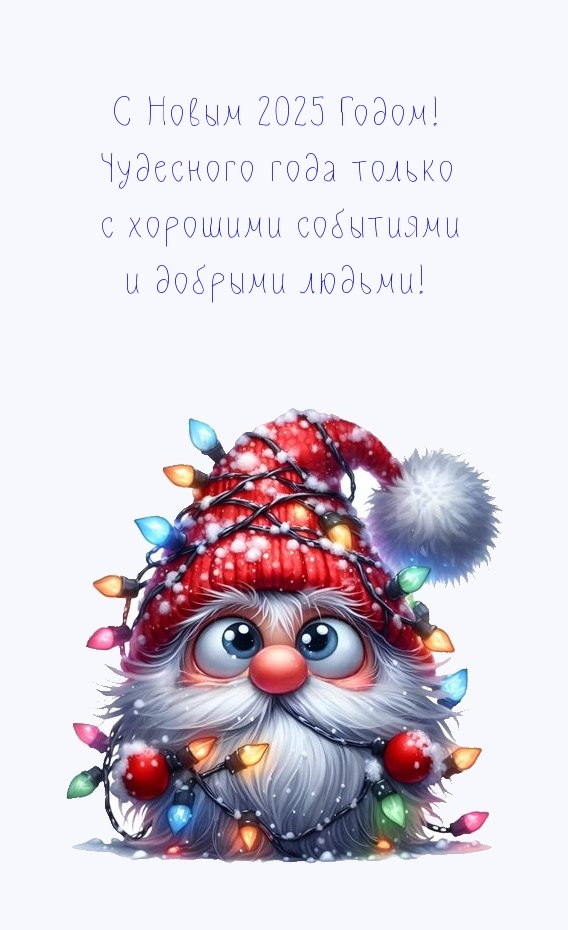 С Новым 2025 Годом! Чудесного года только с хорошими событиями