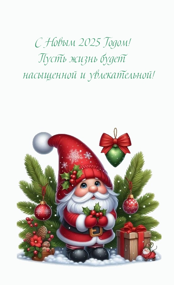 С Новым 2025 Годом! Пусть жизнь будет насыщенной и увлекательной!
