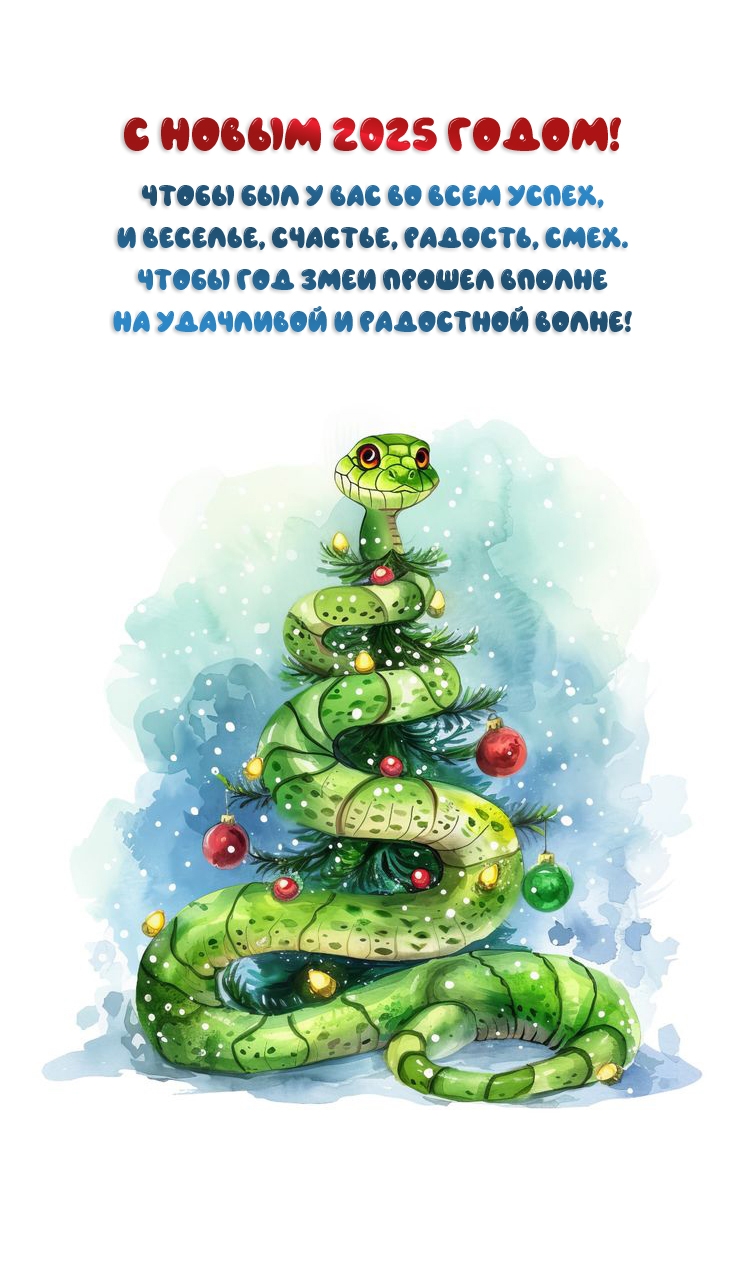 С Новым 2025 годом! Чтобы был у вас во всем успех