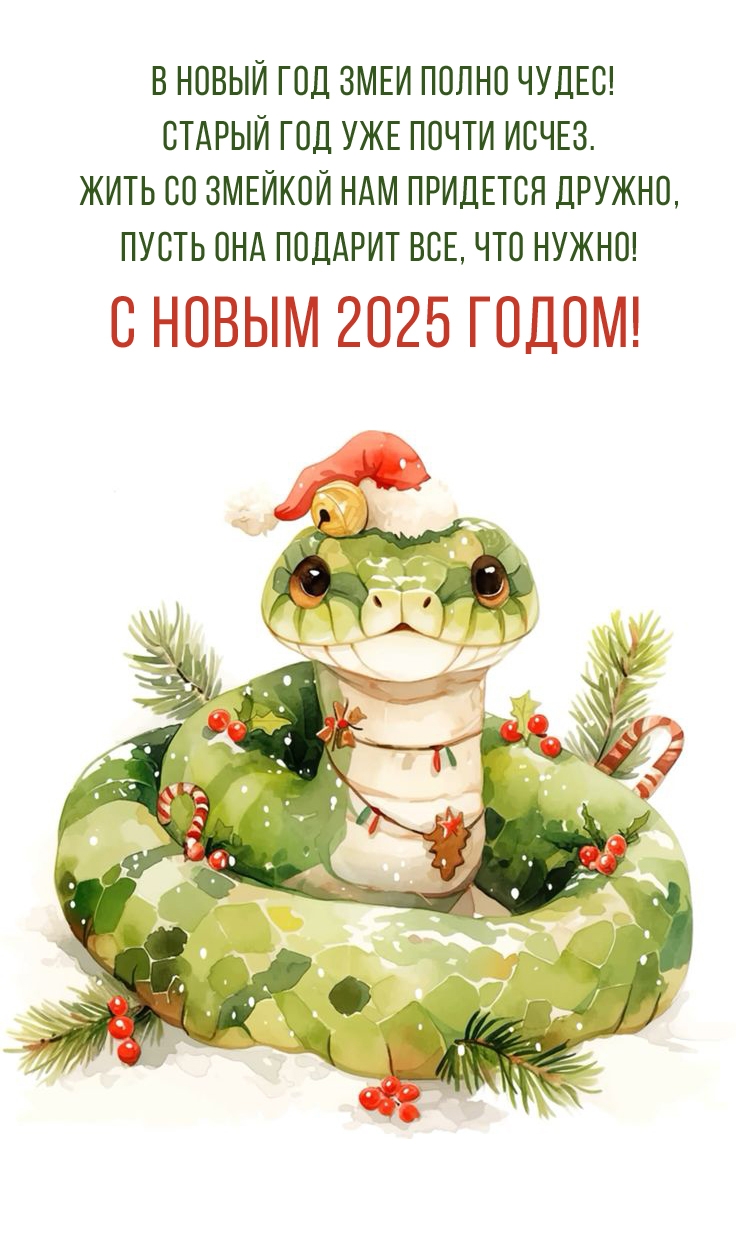В новый год Змеи полно чудес! Старый год уже почти исчез.