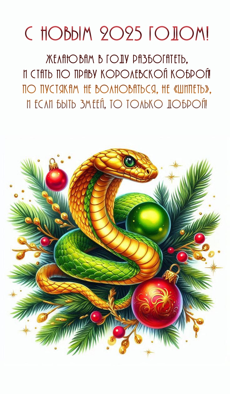 С Новым 2025 годом! Желаю вам в году разбогатеть