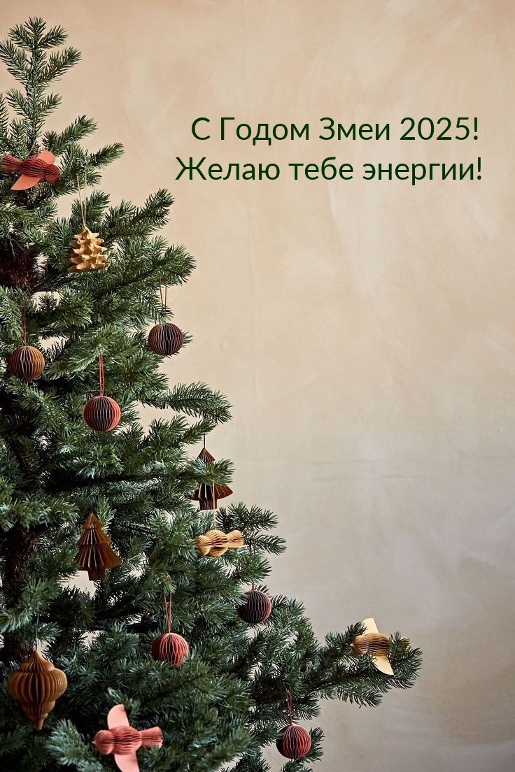 С Годом Змеи 2025! Желаю тебе энергии!