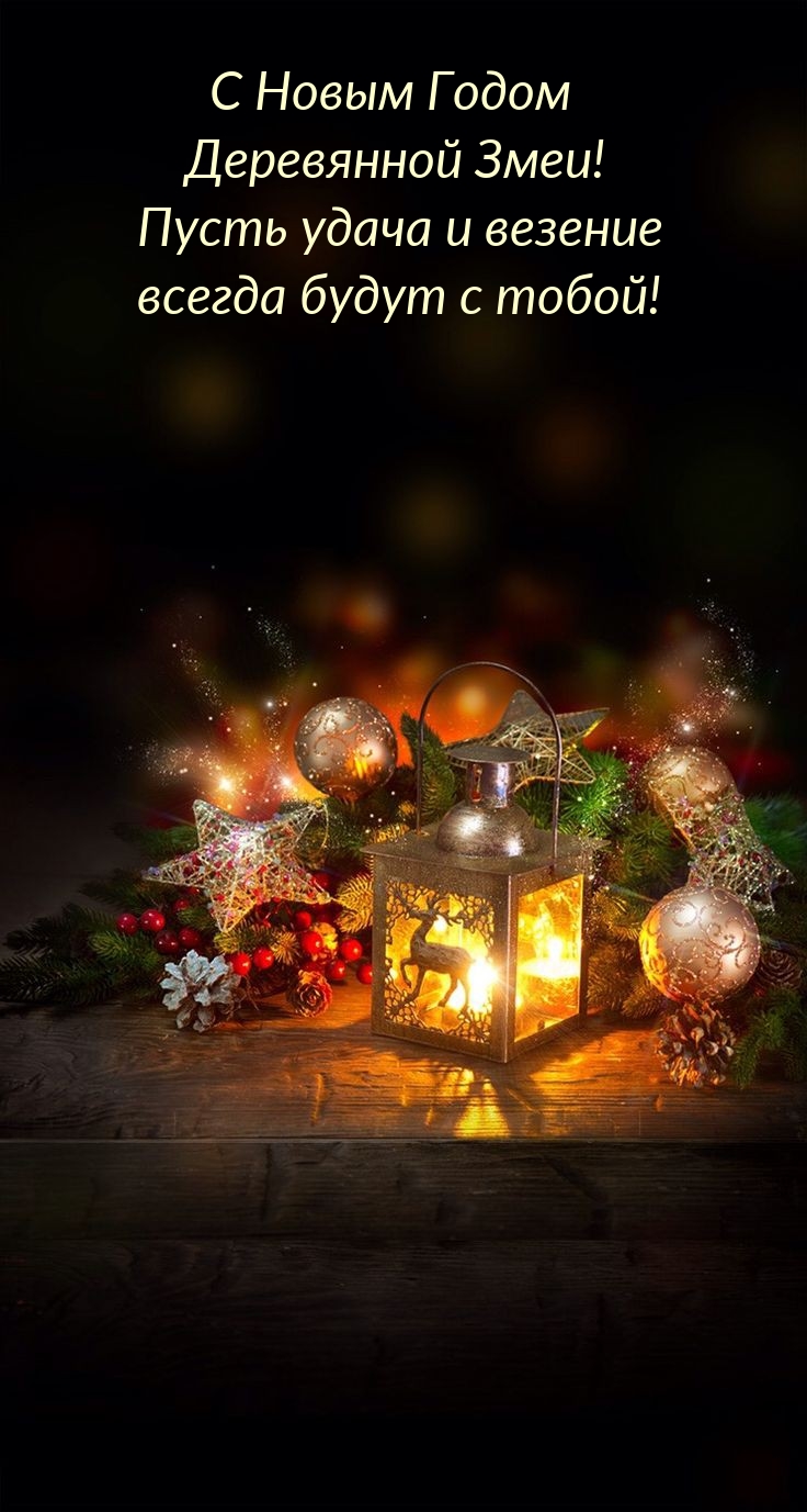 С Новым Годом Змеи! Пусть удача и везение всегда будут с тобой!