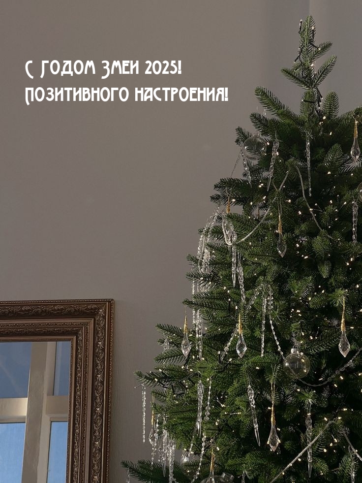 С Годом Змеи 2025! Позитивного настроения!