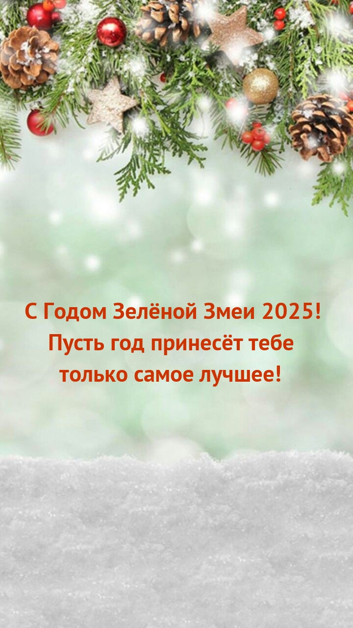 С Годом Зелёной Змеи 2025! Пусть год принесёт только самое лучшее!
