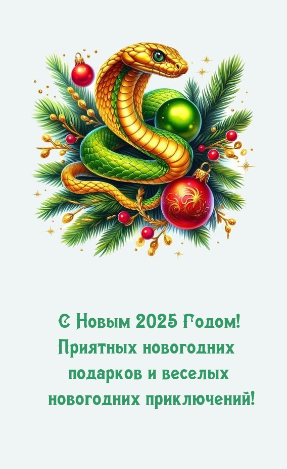С Новым 2025 Годом! Приятных новогодних подарков