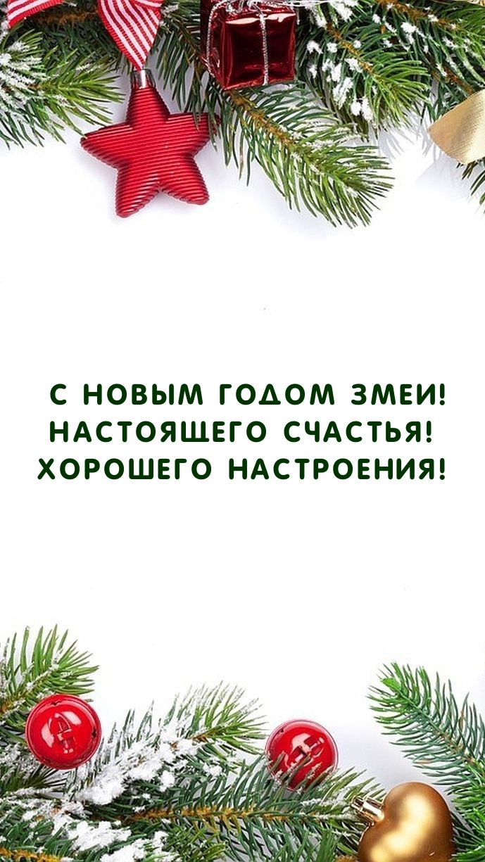 С Новым Годом Змеи! Настоящего счастья! Хорошего настроения!