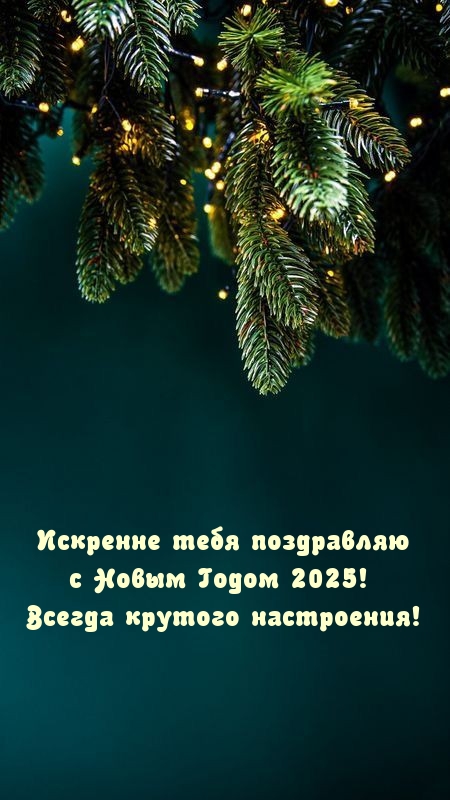 Искренне поздравляю с Новым Годом 2025! Всегда крутого настроения!