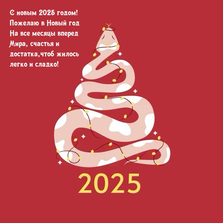 Пожелаю в Новый 2025 год на все месяцы вперед мира, счастья