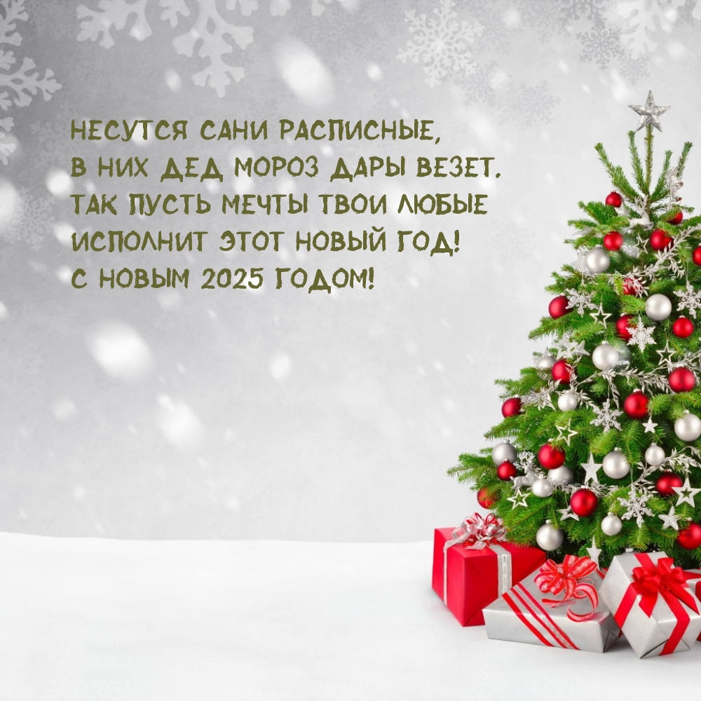 С новым 2025 годом! Несутся сани расписные