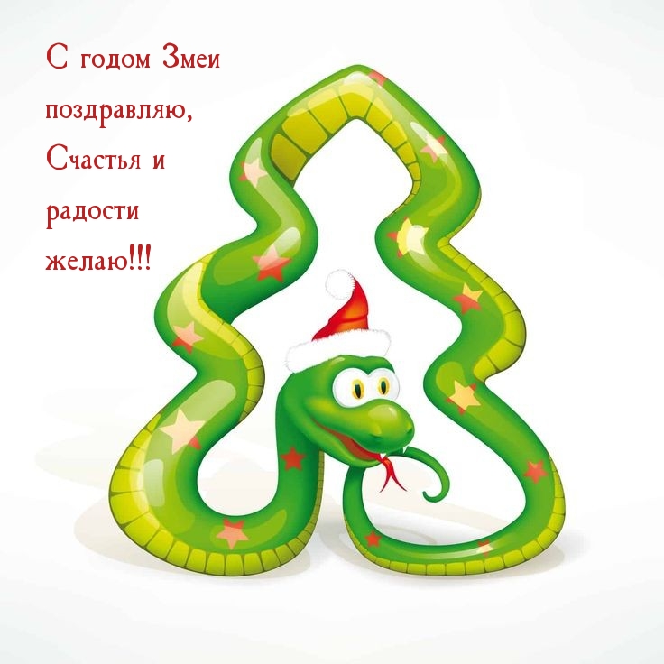 С годом Змеи поздравляю, счастья и радости желаю!