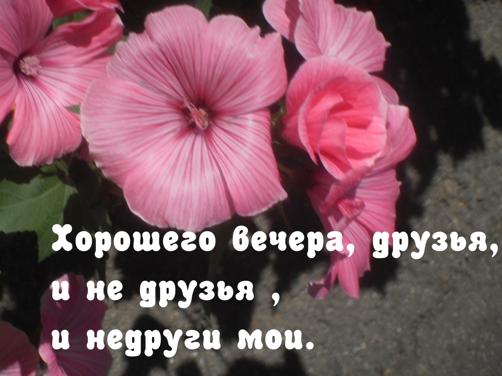 Хорошего вечера, друзья, и не друзья, и недруги мои.