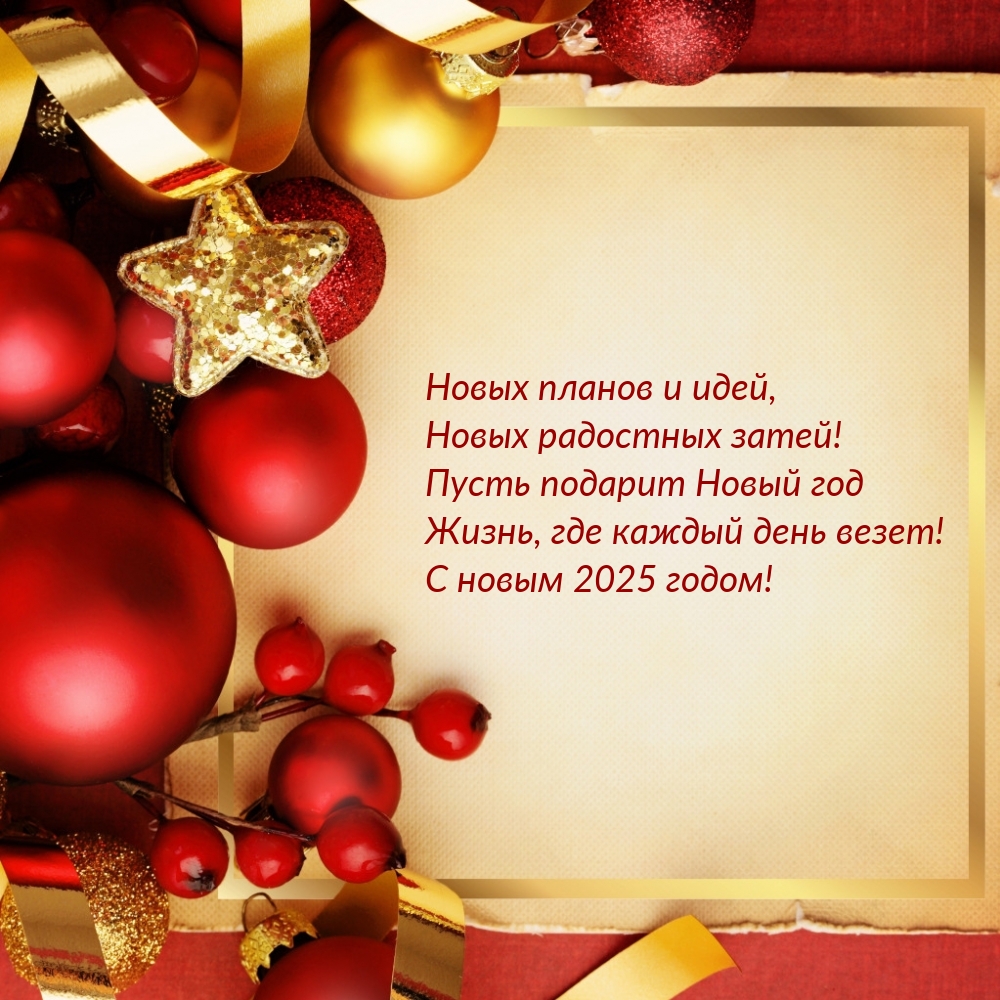 С новым 2025 годом! Новых планов и идей