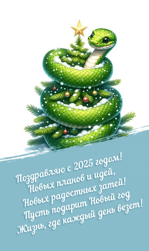 С 2025 годом! Новых планов и идей, новых радостных затей!
