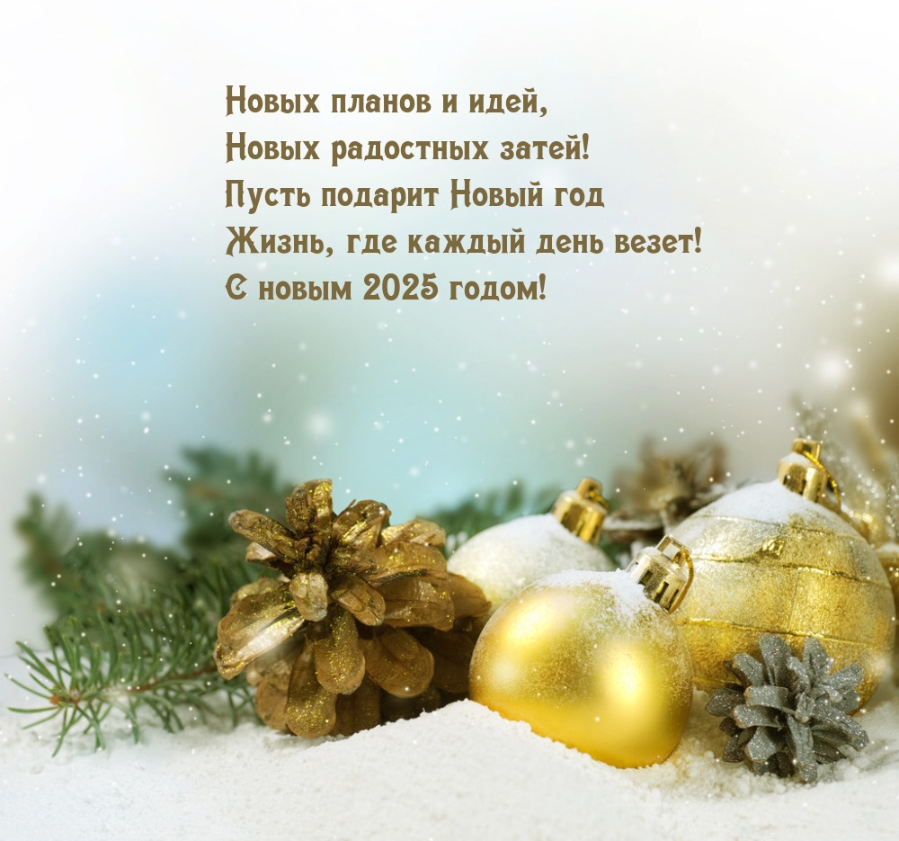 С новым 2025 годом! Новых планов и идей