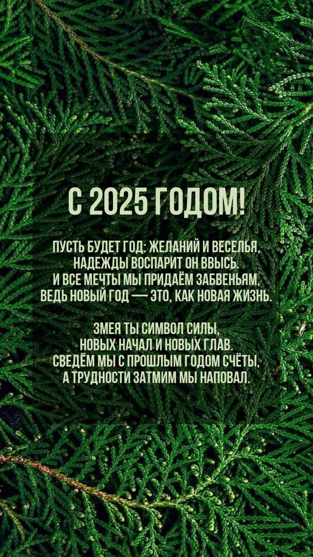 С 2025 годом! Пусть будет год: желаний и веселья