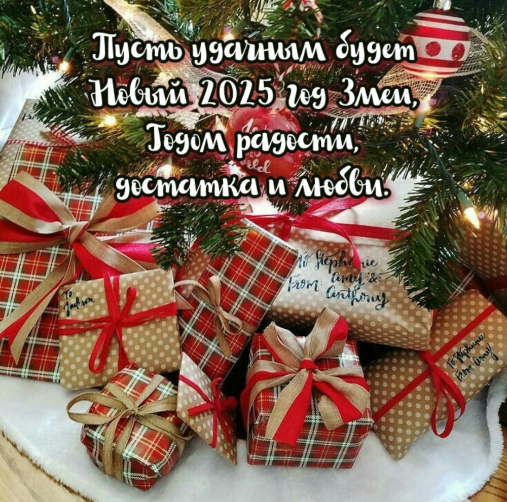 Пусть удачным будет Новый 2025 год Змеи