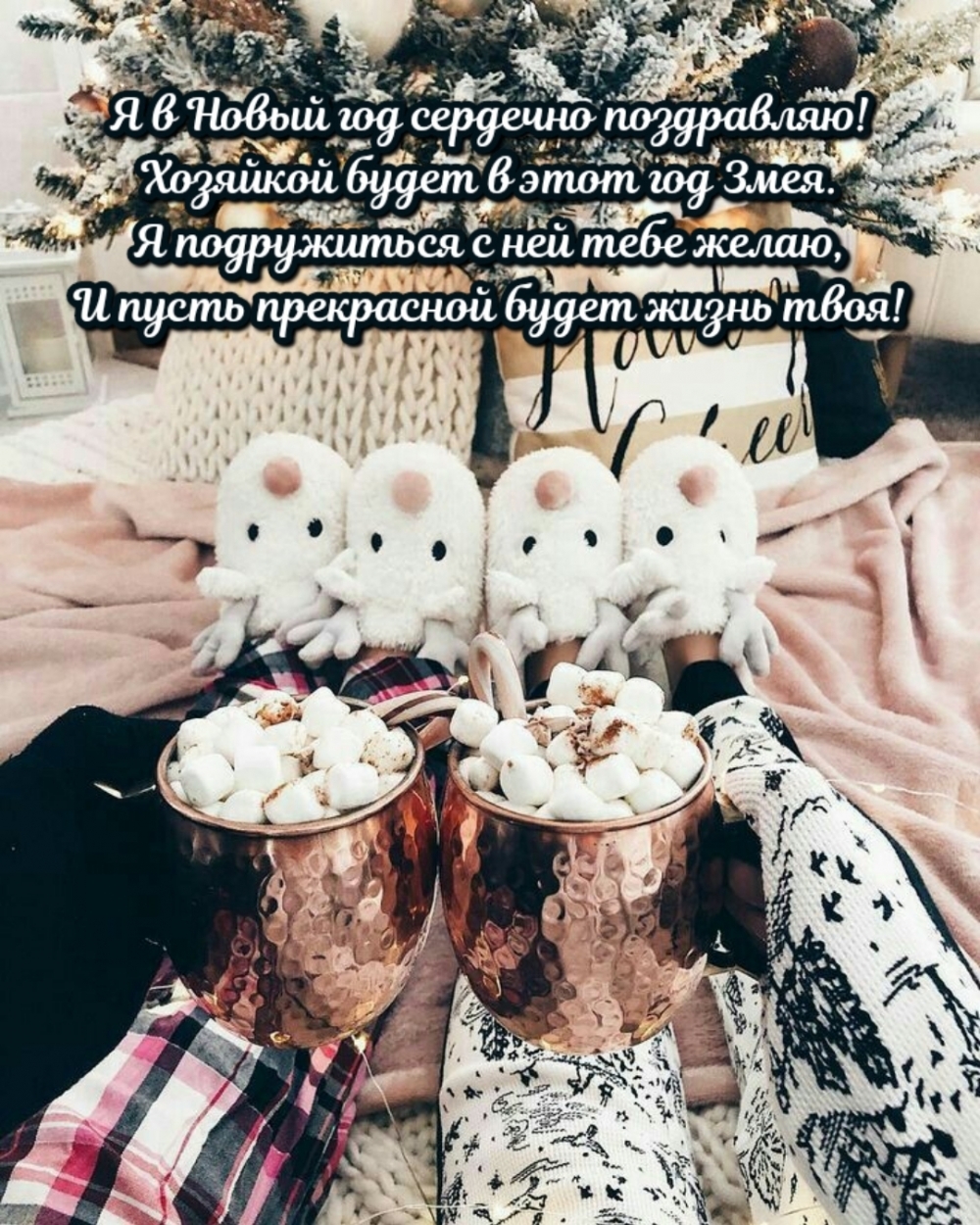 Я в Новый год сердечно поздравляю! Хозяйкой будет в этот год Змея.