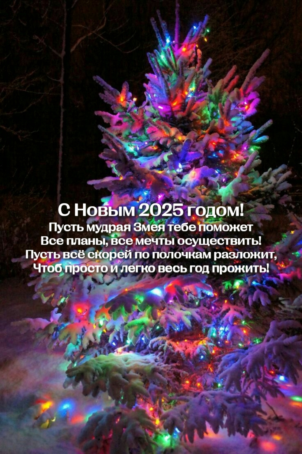 Пусть мудрая Змея тебе поможет все планы, все мечты осуществить!