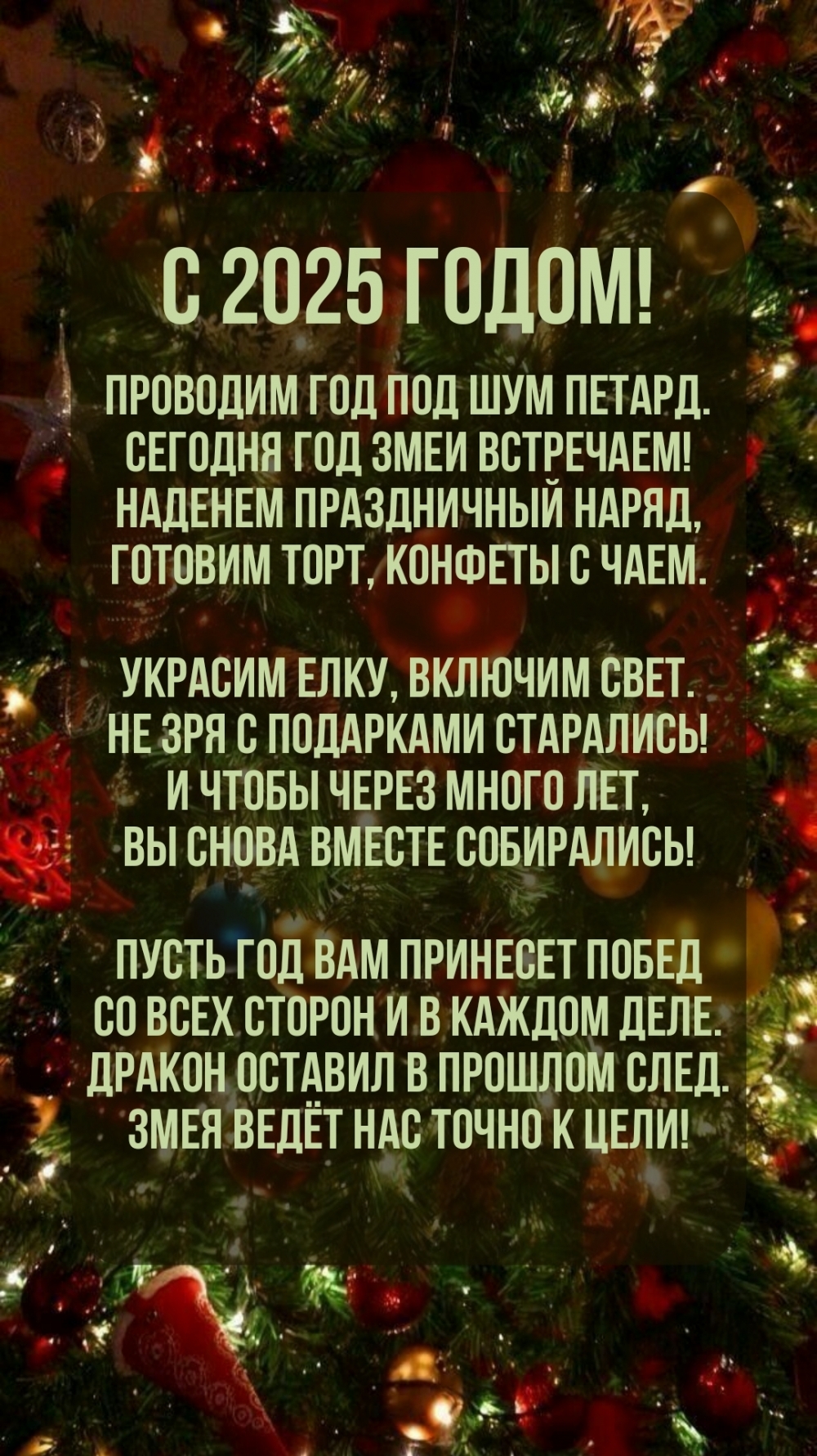 С 2025 годом! Проводим год под шум петард. Сегодня год Змеи